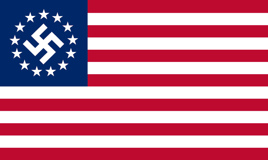 Flaga Nowej Amerykańskiej Partii Nazistowskiej / Źródło: wikimedia