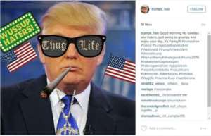Satyryczny wizerunek Donalda Trumpa, źródło: Instagram / trumpa_hair