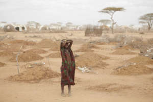 Nigerii grozi największy głód od dziesięcioleci/wikimedia commons